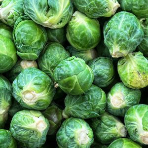 Cabbages (small)