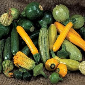 Courgettes (small/regular)