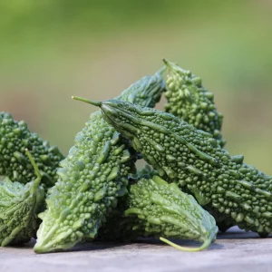 Karela (Bitter Gourd)