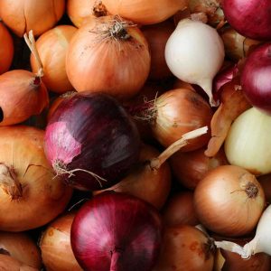 Onions (regular/yellow)