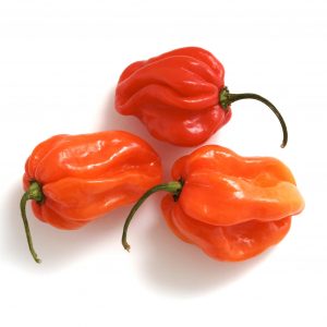 Scotch Bonnet Peppers